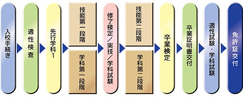 入校から免許取得までの流れ